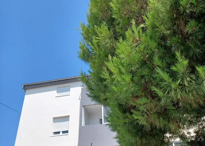 September 2025 Fun&joy Appartement